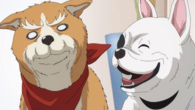 5 Anime With Strange Premises