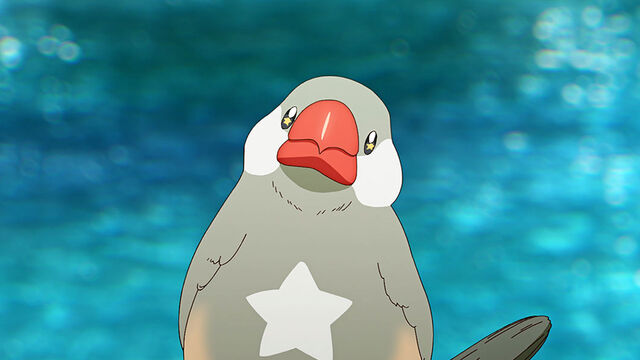 You Shouldn’t Be Skipping This Season’s Sasaki and Peeps