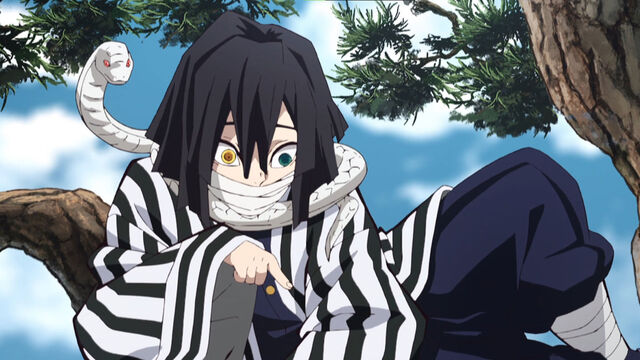 Demon Slayer Hashira Training Arc Movie Leaks, Explained
