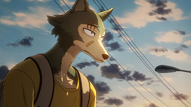 Beastars Season 3 Finally Gets a Long-Awaited Update, but Fans Are Not Happy