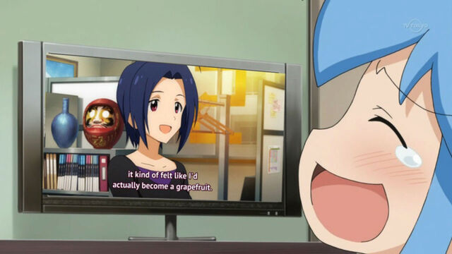 Why Are Official Anime Subtitles Worse Than Fansubs?