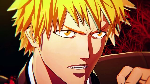 Bleach Delayed Episodes 49 and 50. Also Known as 415 and 416.