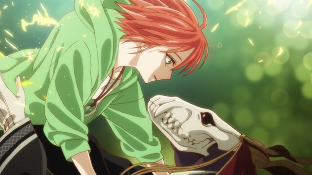 Where Did All the Hype for The Ancient Magus' Bride Go?