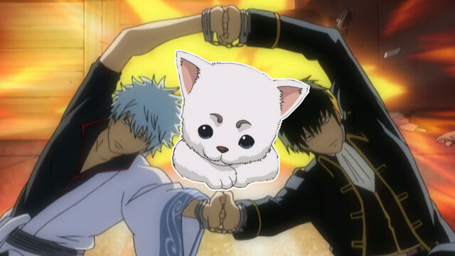 5 Out Of Context Gintama Episodes