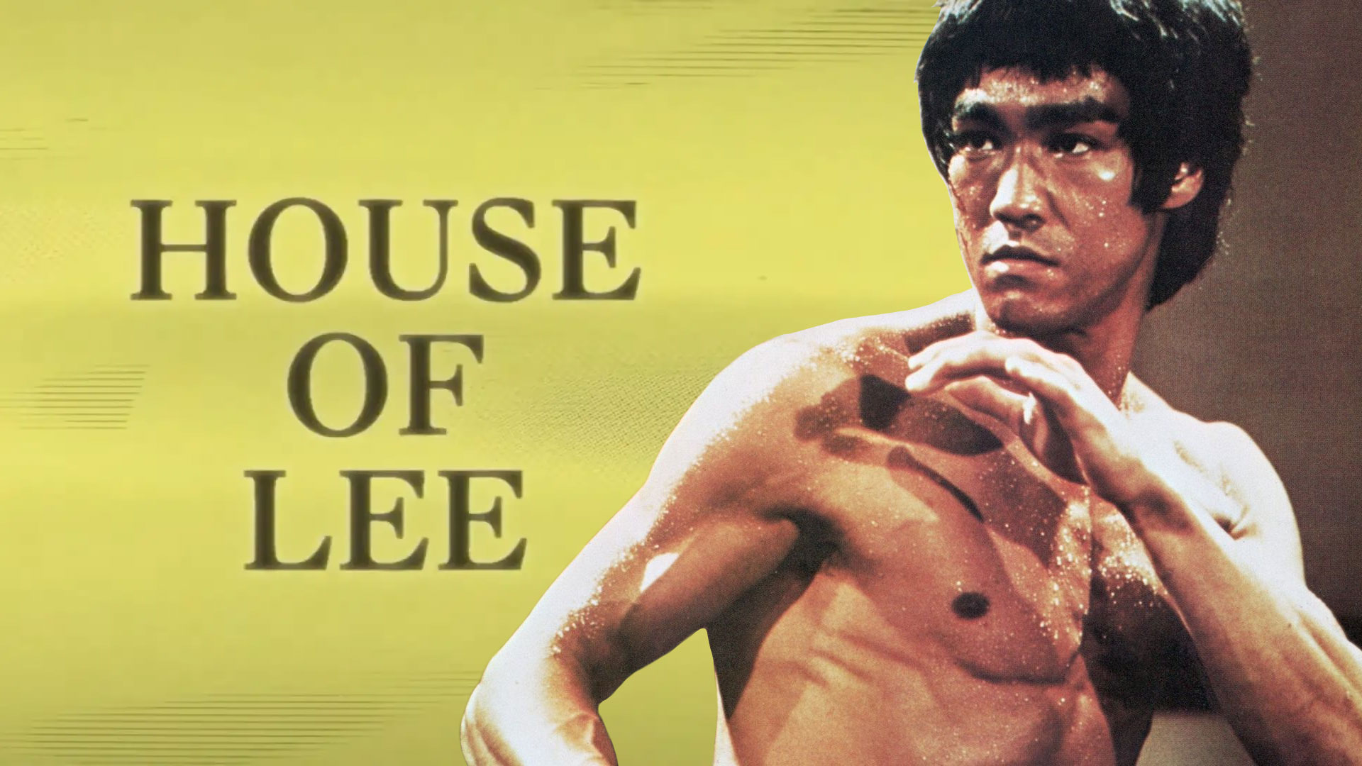 Bruce Lee Goes Anime: What to Expect