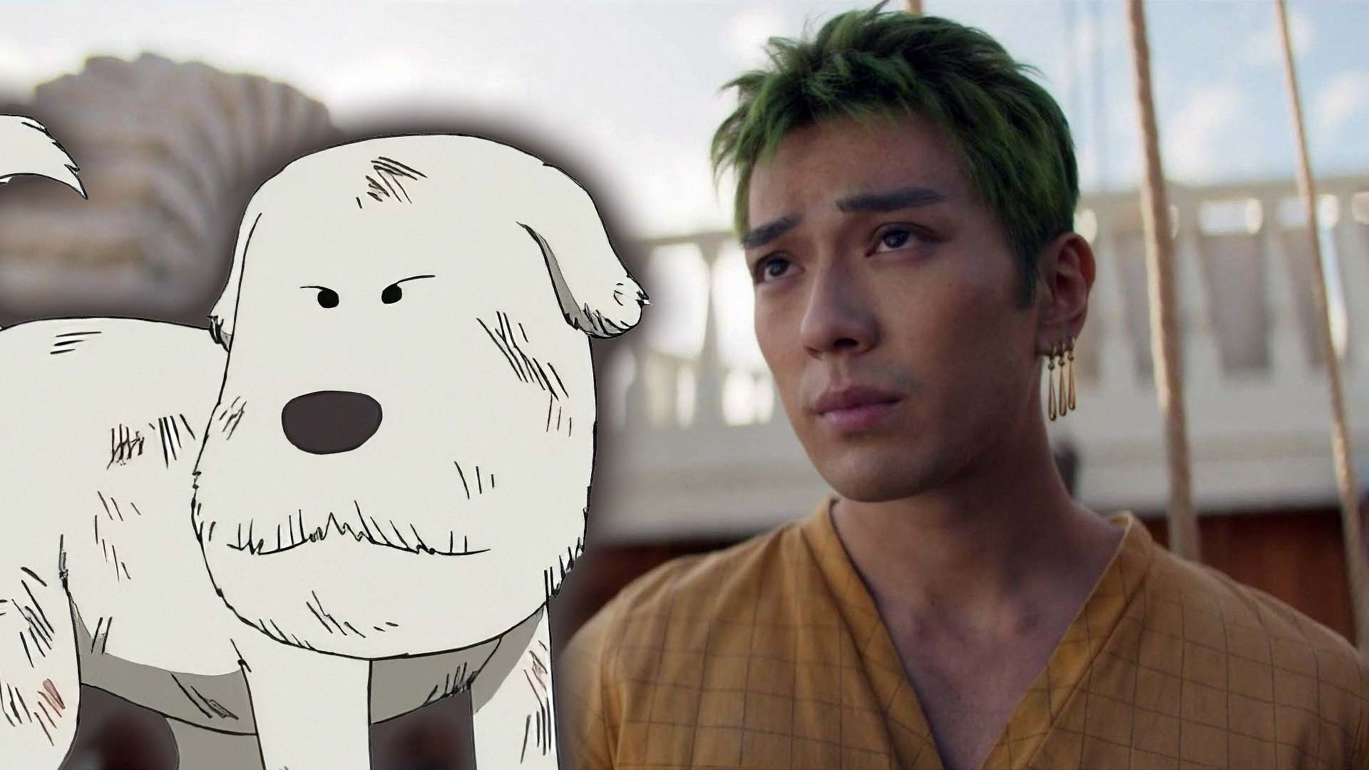 Why Was Chouchou's Story Cut from Netflix's One Piece Adaptation?