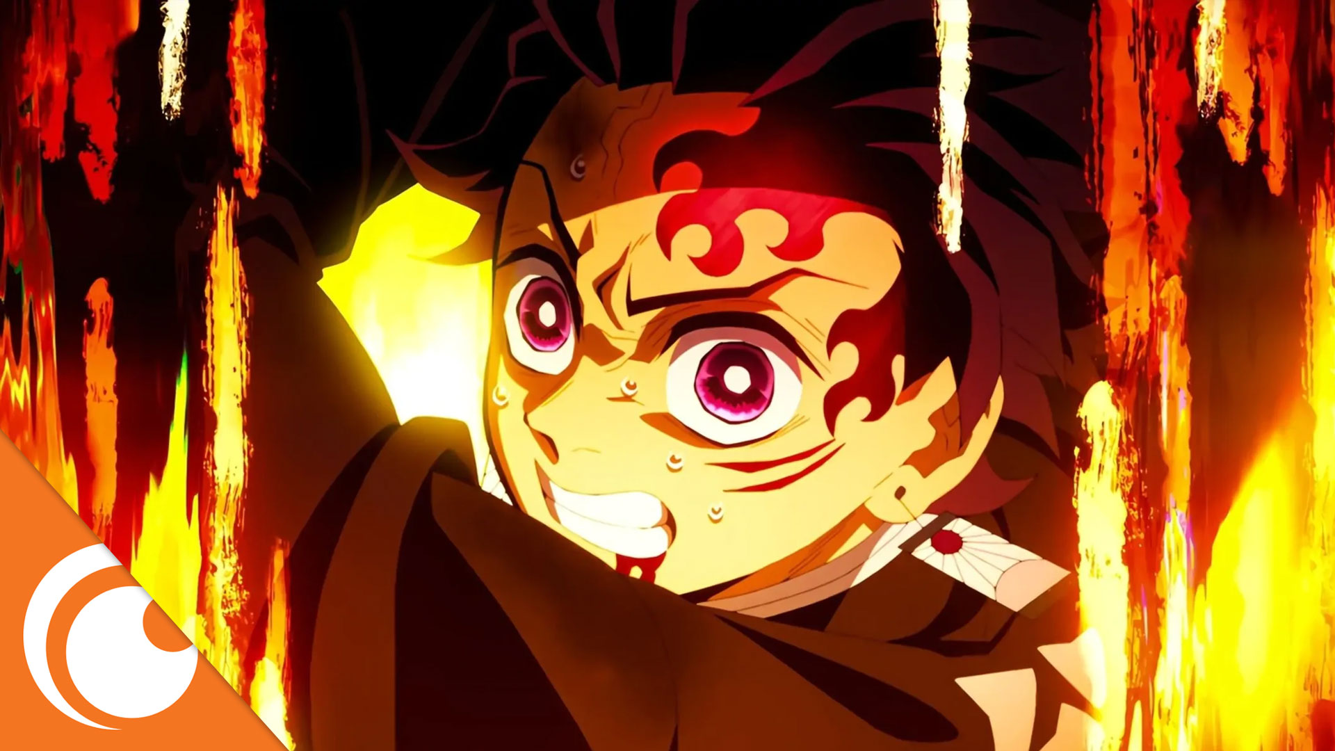 Where to Watch the 2024 Demon Slayer: To the Hashira Training Movie