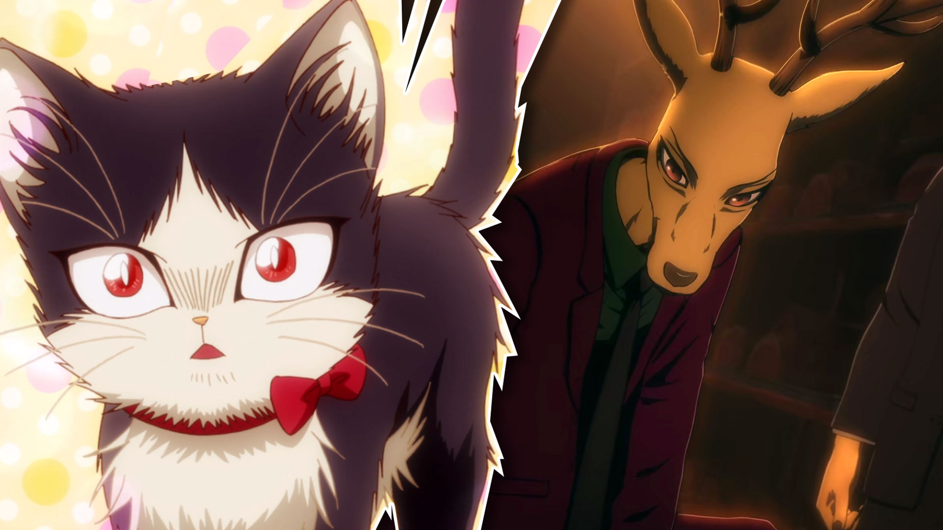 5 Anime With Non-Human Protagonists & Where to Watch Them