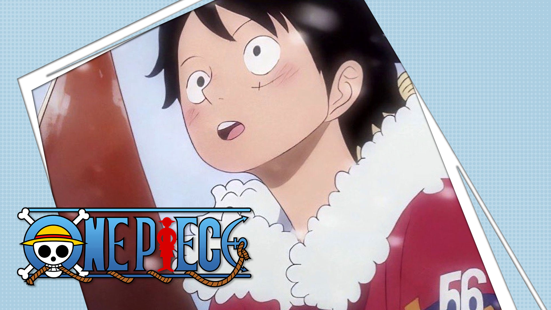 Does One Piece Have Seasons? Explained