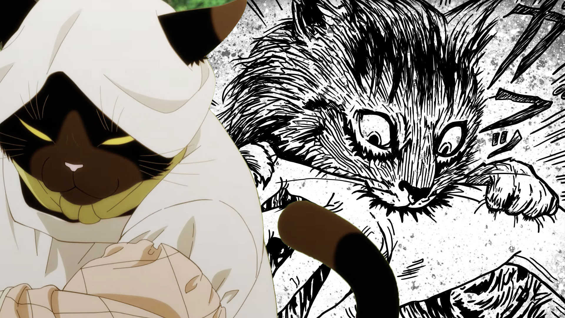 A Dose Of Fluff: 8 Manga Series About Cats