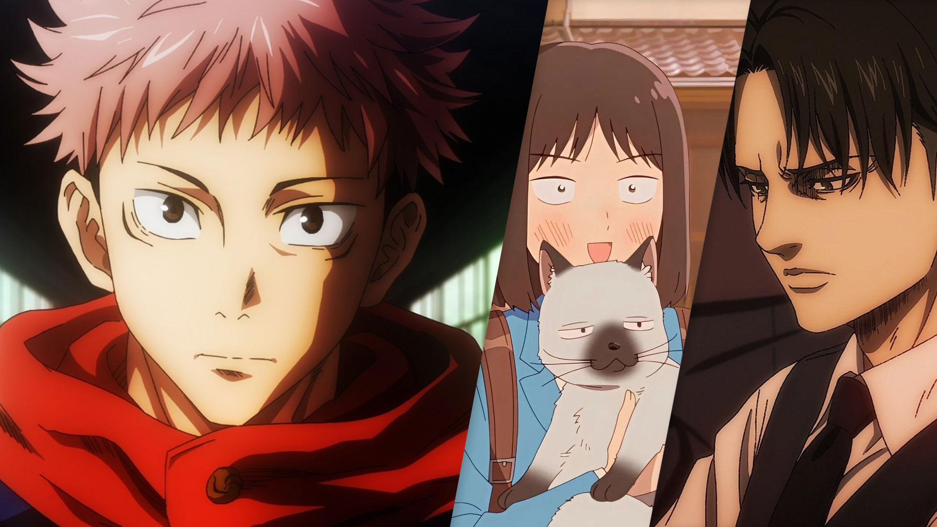 10 Anime Characters You’d Love to Share a Room With 