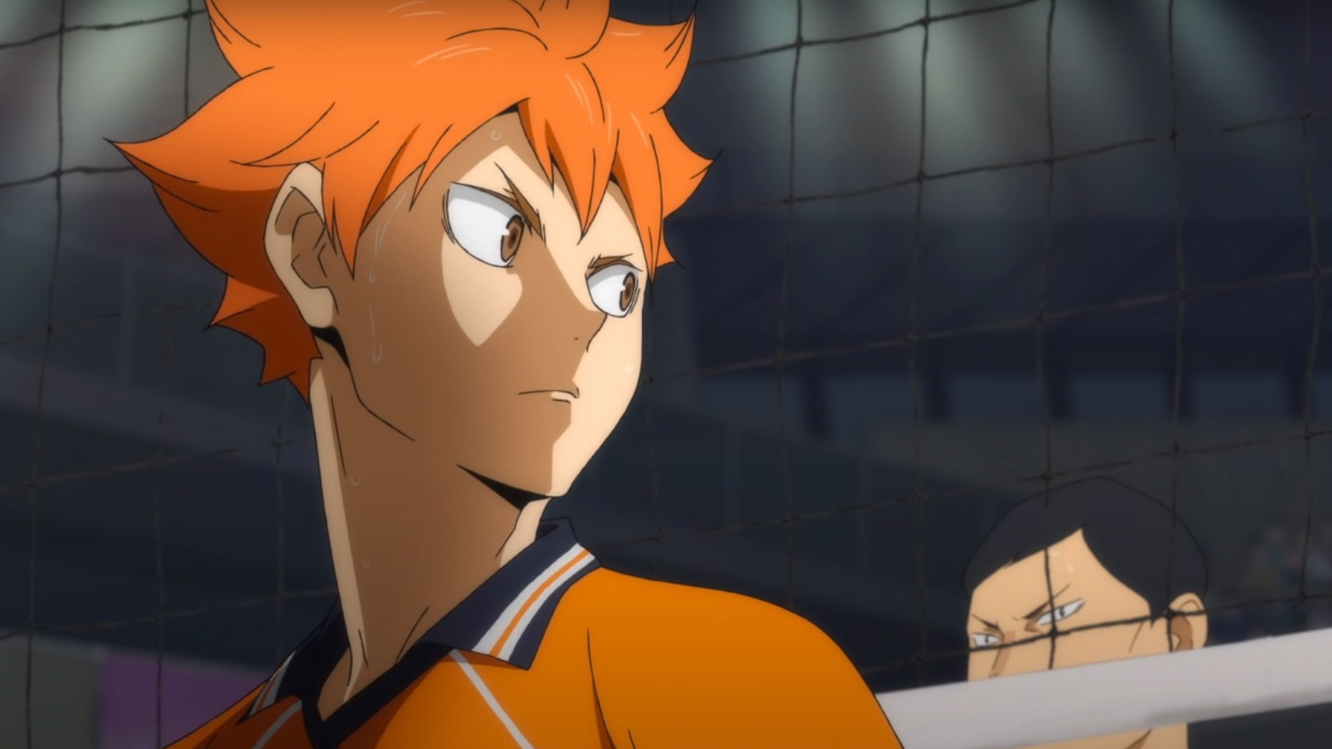 Are There Any Chances for Haikyuu Season 5?