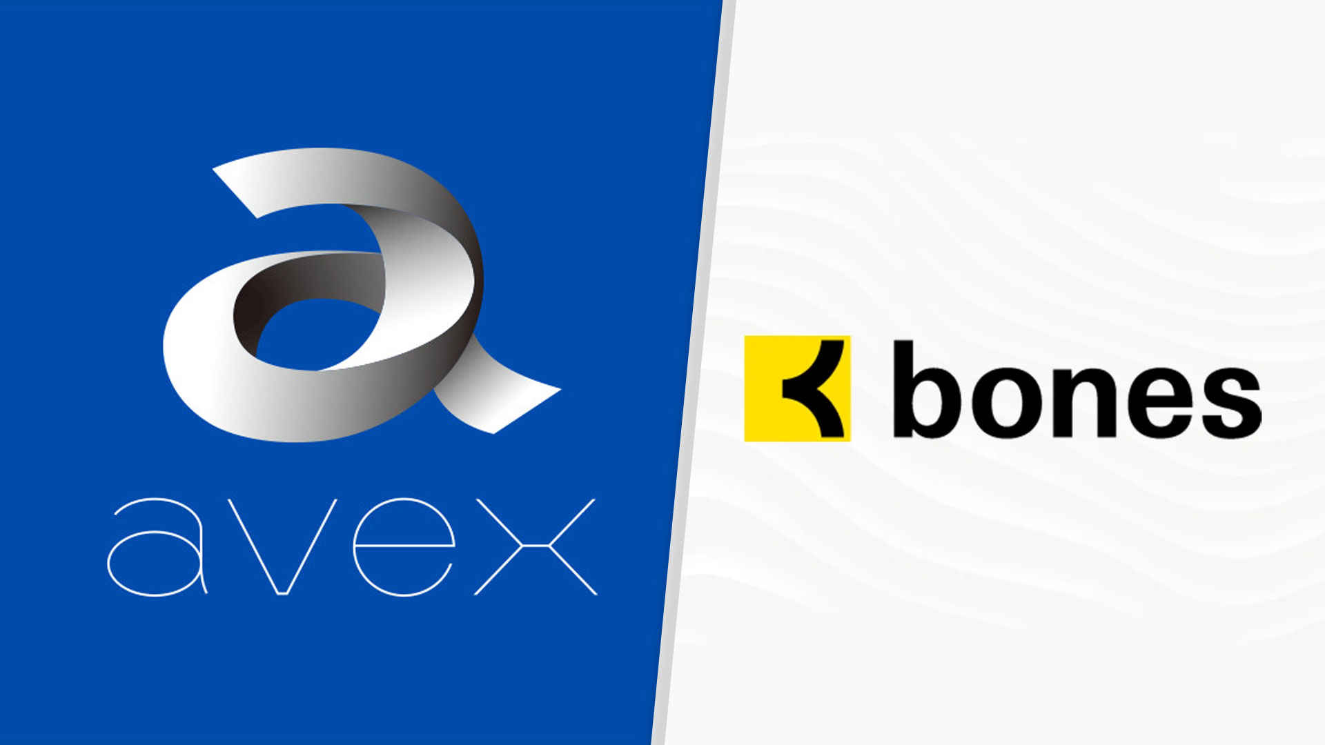 New Project From Bones & Avex: What Can We Possibly Expect