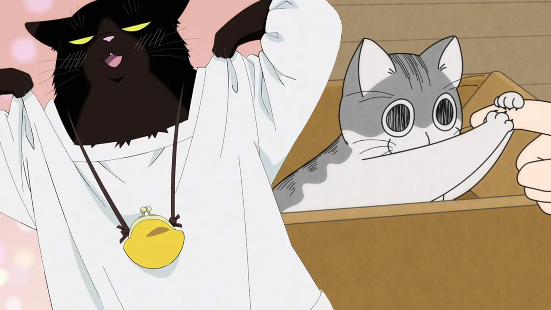 5 Best Cozy Anime Every Cat Lover Needs to Watch