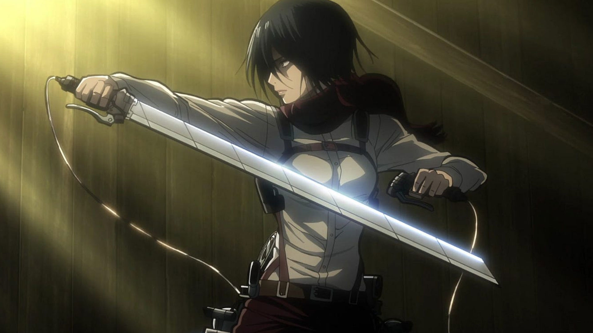 Mikasa Ackerman: Just A Silent Strong Warrior Type?