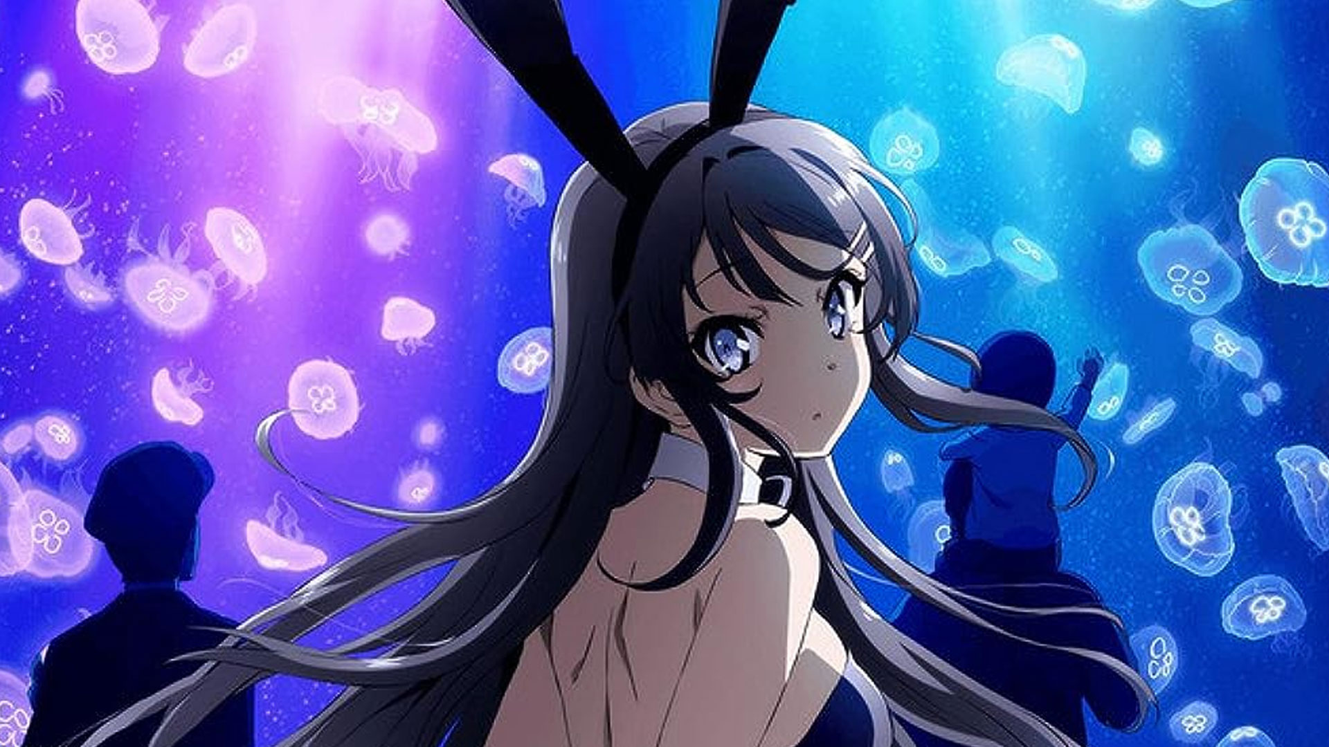 Should Rascal Does Not Dream of Bunny Girl Senpai Have Ended After the First Arc?